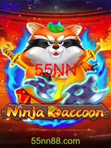 NinjaRaccoon